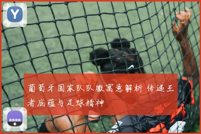 葡萄牙国家队队徽寓意解析 传递王者底蕴与足球精神