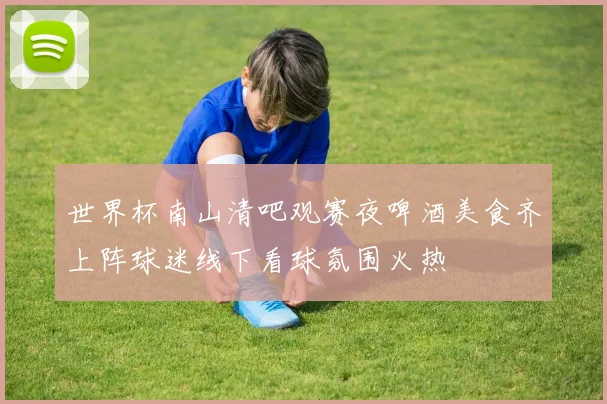 世界杯南山清吧观赛夜啤酒美食齐上阵球迷线下看球氛围火热