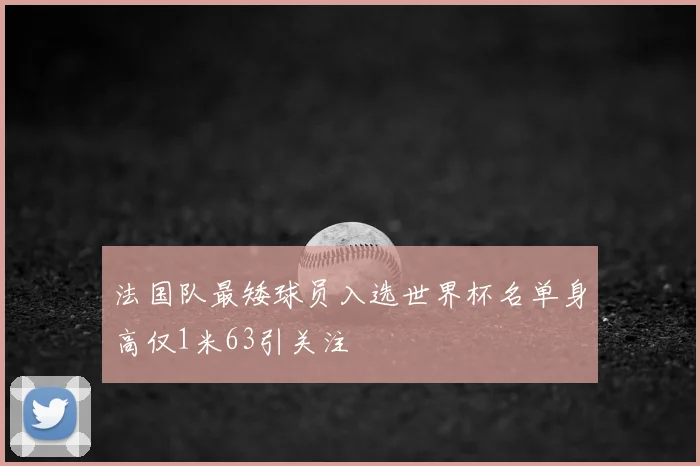 法国队最矮球员入选世界杯名单身高仅1米63引关注