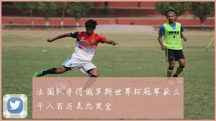 法国队夺得俄罗斯世界杯冠军获三千八百万美元奖金