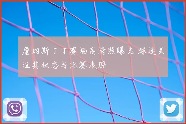 詹姆斯丁丁赛场高清照曝光 球迷关注其状态与比赛表现