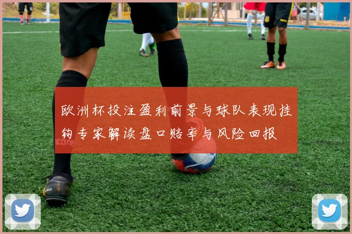 欧洲杯投注盈利前景与球队表现挂钩专家解读盘口赔率与风险回报