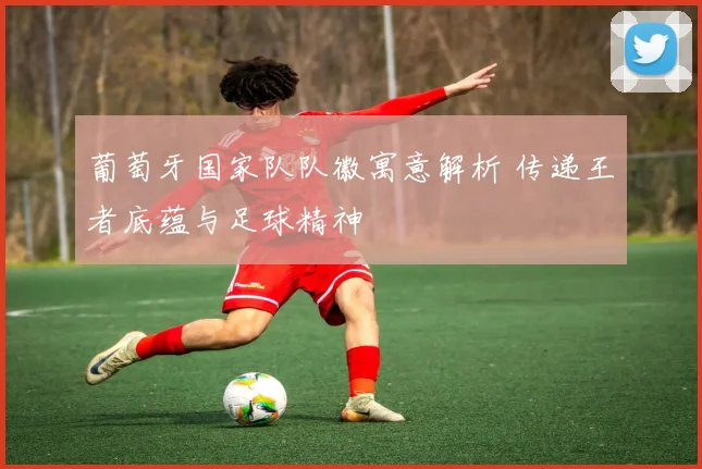 葡萄牙国家队队徽寓意解析 传递王者底蕴与足球精神
