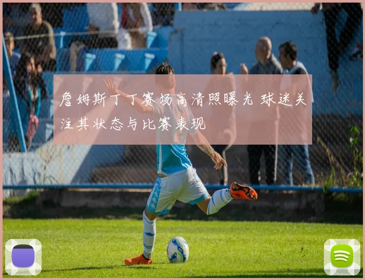 詹姆斯丁丁赛场高清照曝光 球迷关注其状态与比赛表现