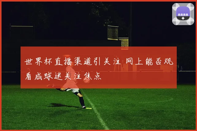 世界杯直播渠道引关注 网上能否观看成球迷关注焦点