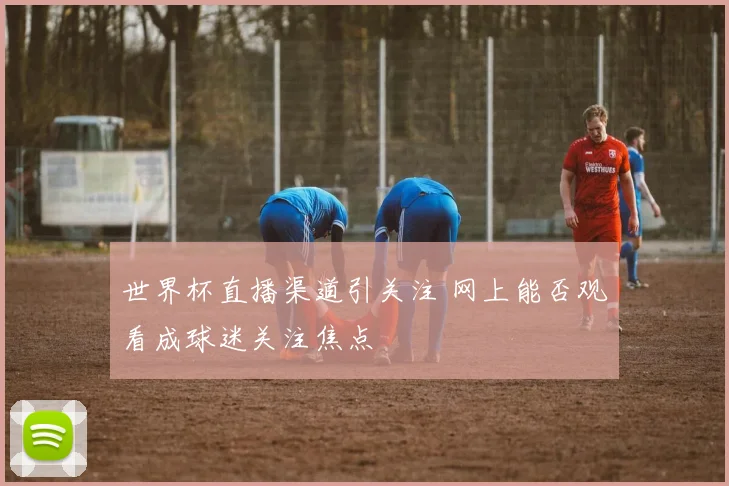 世界杯直播渠道引关注 网上能否观看成球迷关注焦点